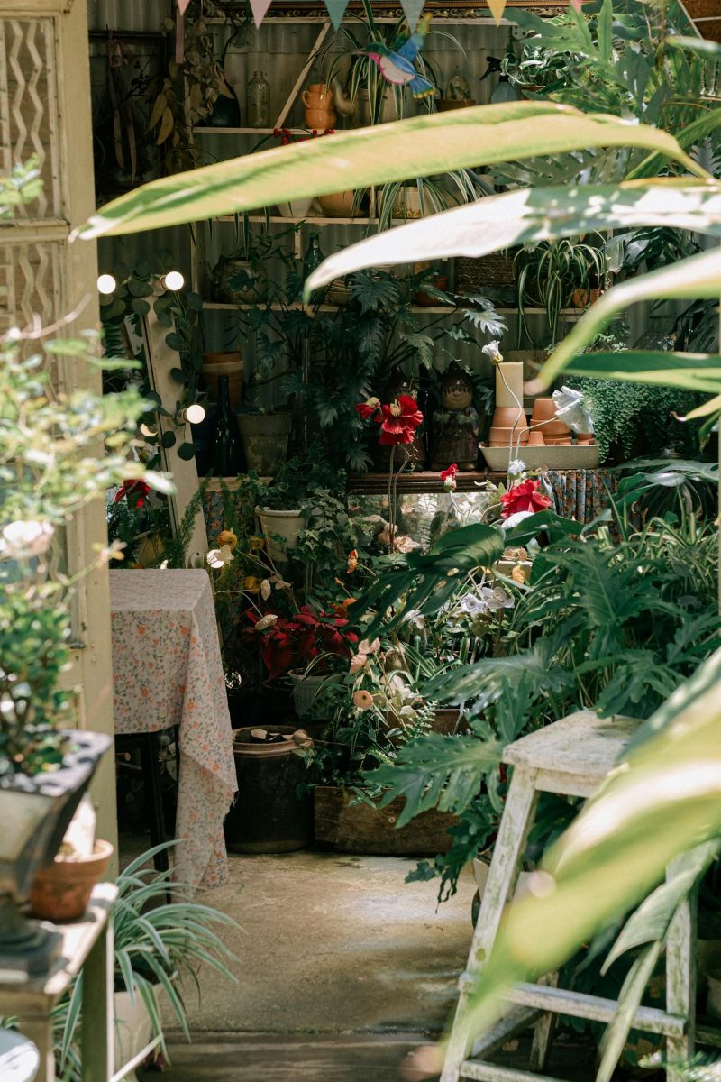 Tag der offenen Gartentür
